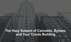 The Hazy Subject of Cannabis, Bylaws, and Your Condo Building