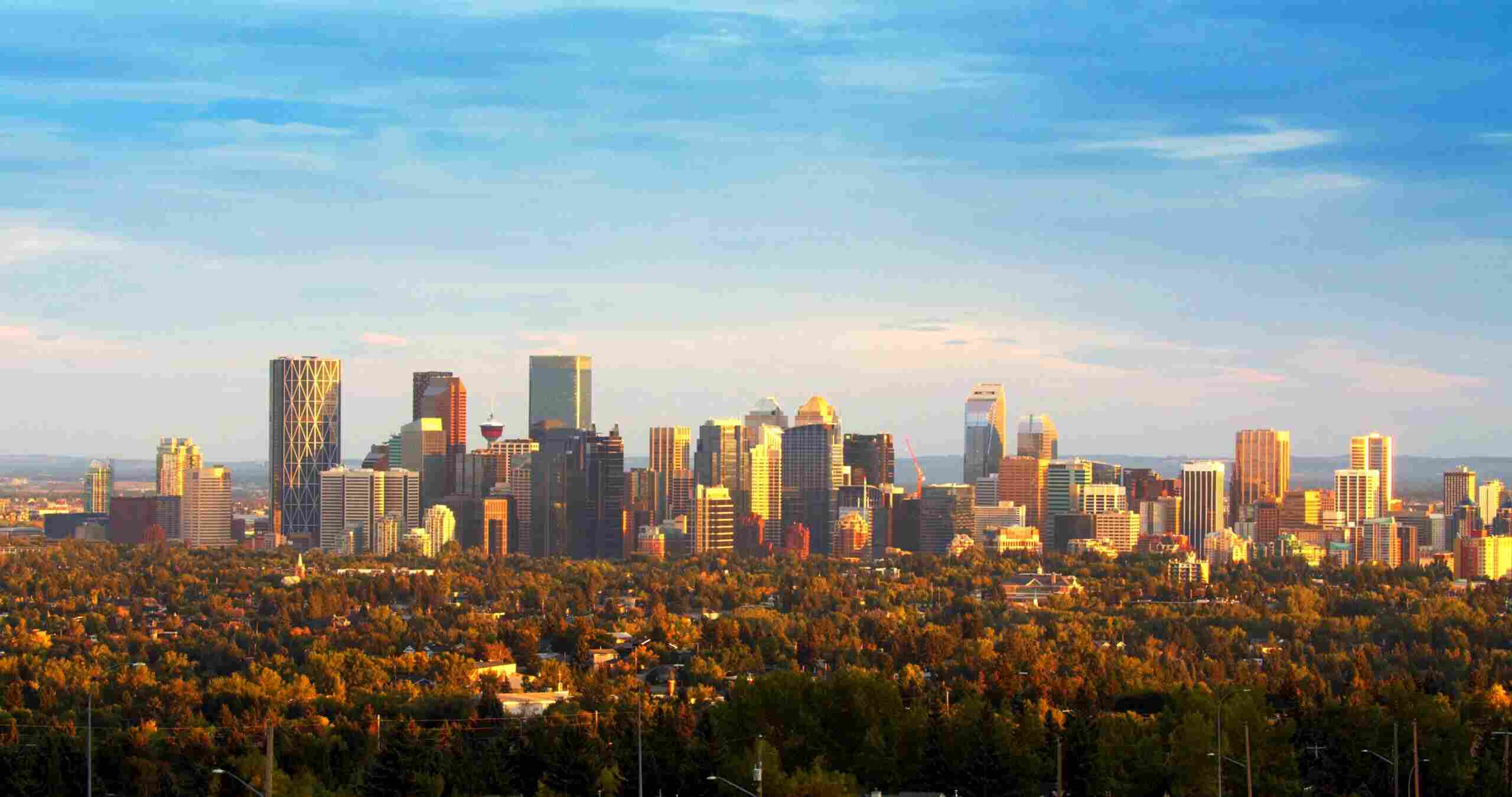 Calgary City view